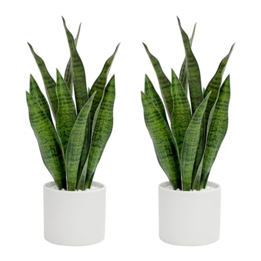 Snake Plant Ceramic - Artificial Snake Plant Set of 2