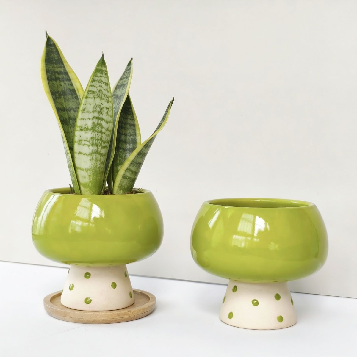 Snake Plant Ceramic - small vase table decor Highly Stylish