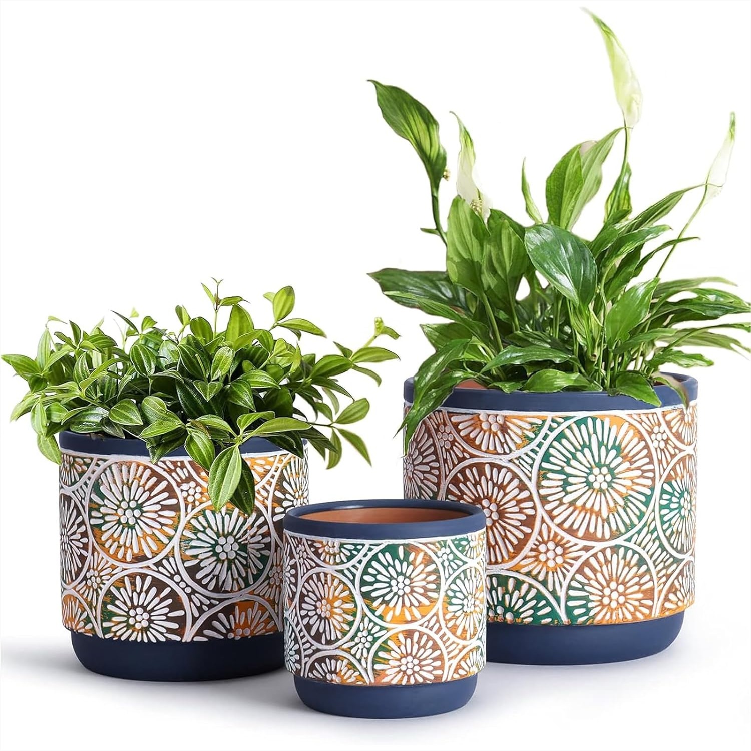 3 Piece Ceramic Plant Pots Ind - Snake Plant Ceramic incelemesi ve fiyatı