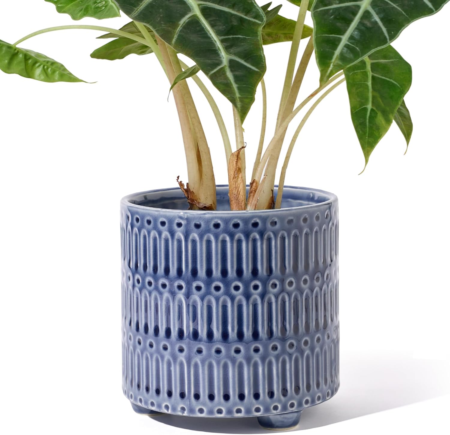 5 Inch Ceramic Planters for In - Snake Plant Ceramic incelemesi ve fiyatı