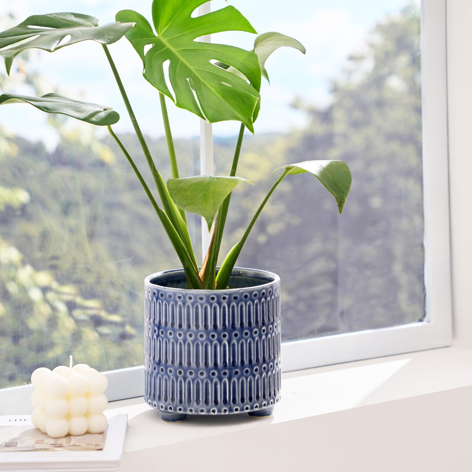 5 Inch Ceramic Planters for In - Snake Plant Ceramic incelemesi ve fiyatı