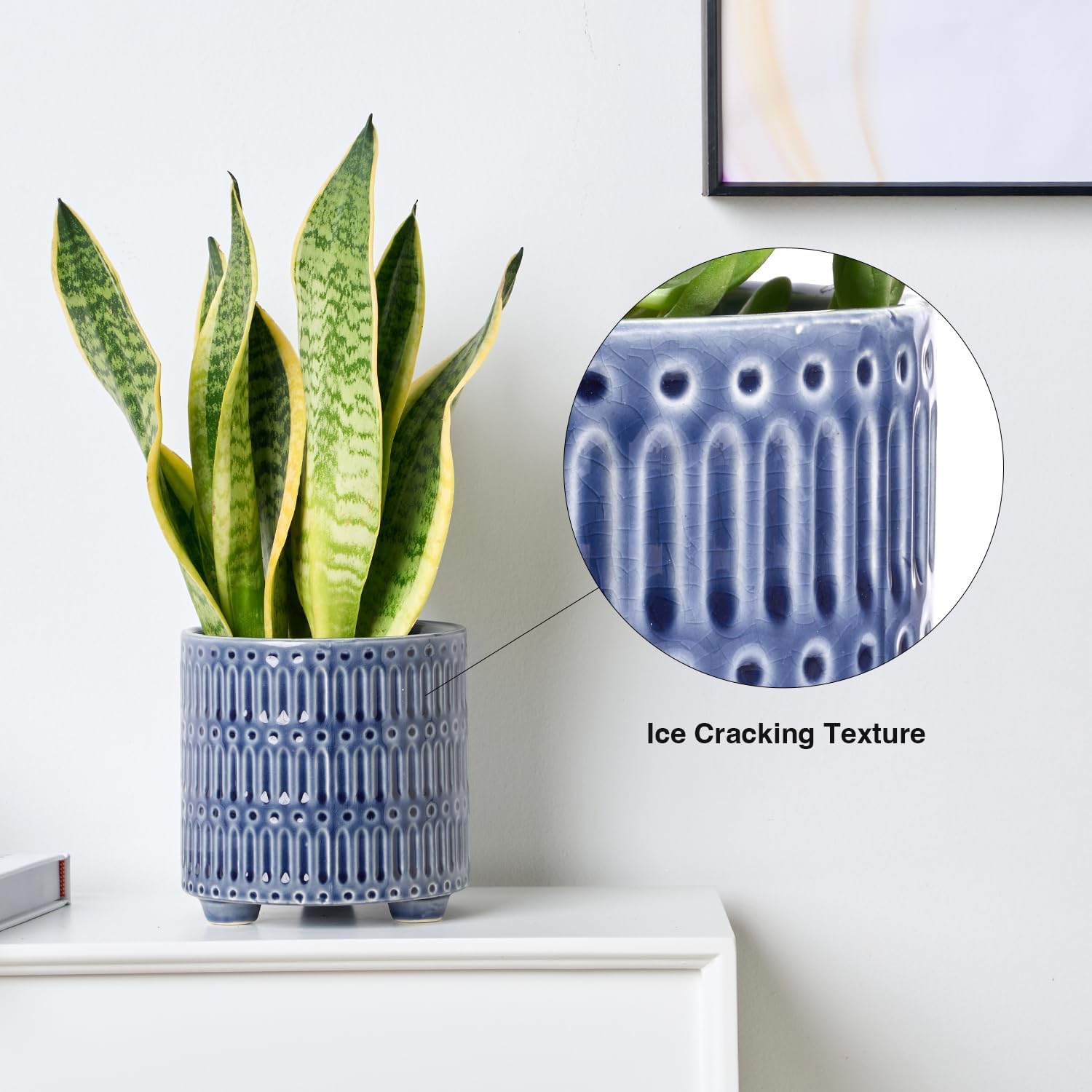 5 Inch Ceramic Planters for In - Snake Plant Ceramic incelemesi ve fiyatı