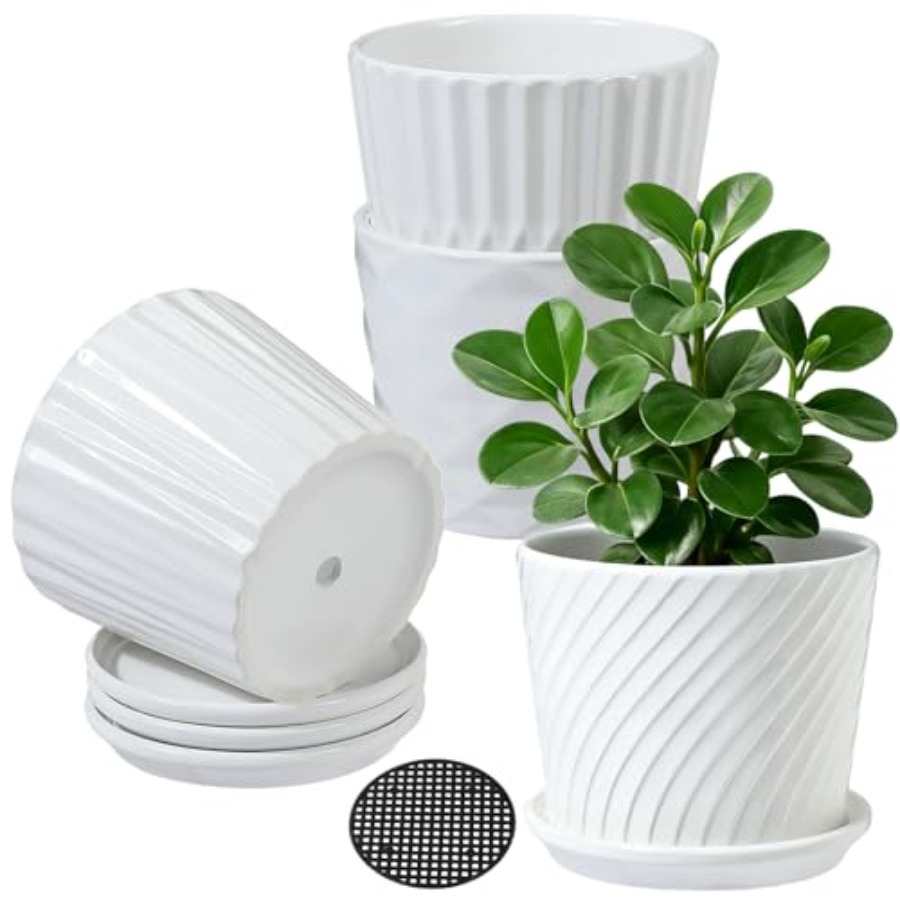 Plant Pots - Cylinder Ceramic  - Snake Plant Ceramic incelemesi ve fiyatı