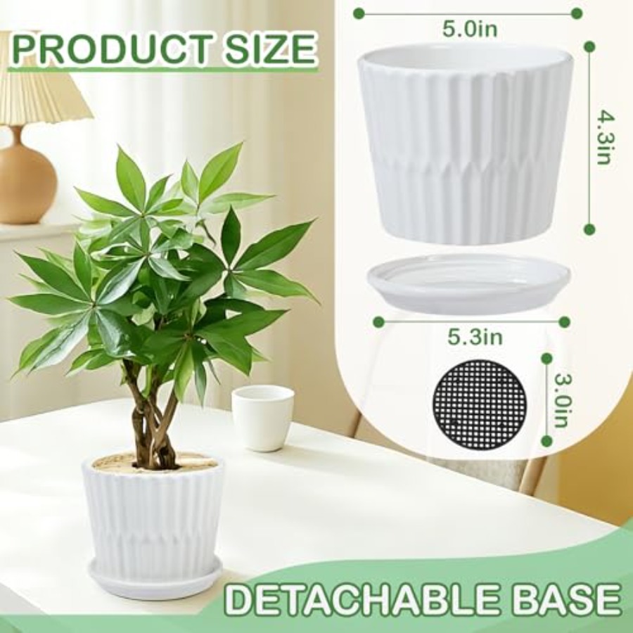 Plant Pots - Cylinder Ceramic  - Snake Plant Ceramic incelemesi ve fiyatı