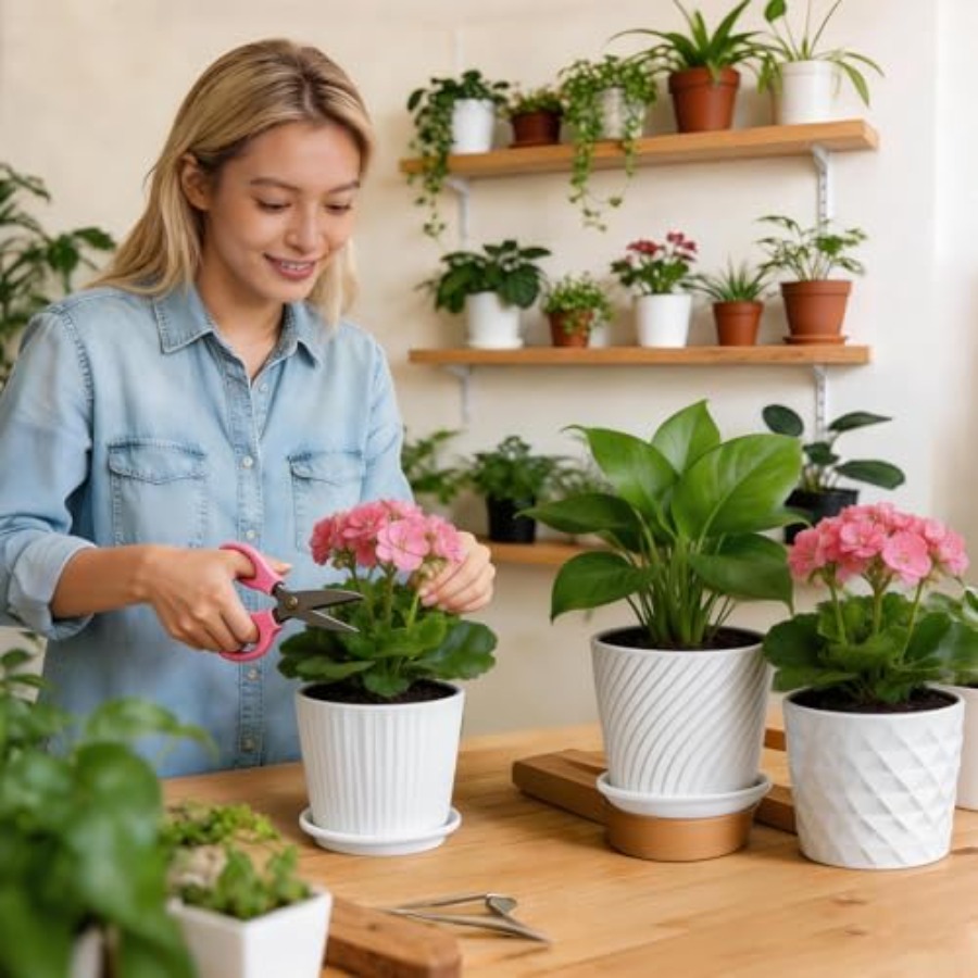 Plant Pots - Cylinder Ceramic  - Snake Plant Ceramic incelemesi ve fiyatı