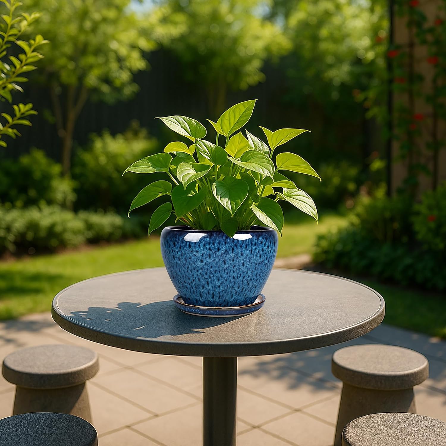 6 Inch Ceramic Plant Pot with  - Snake Plant Ceramic incelemesi ve fiyatı