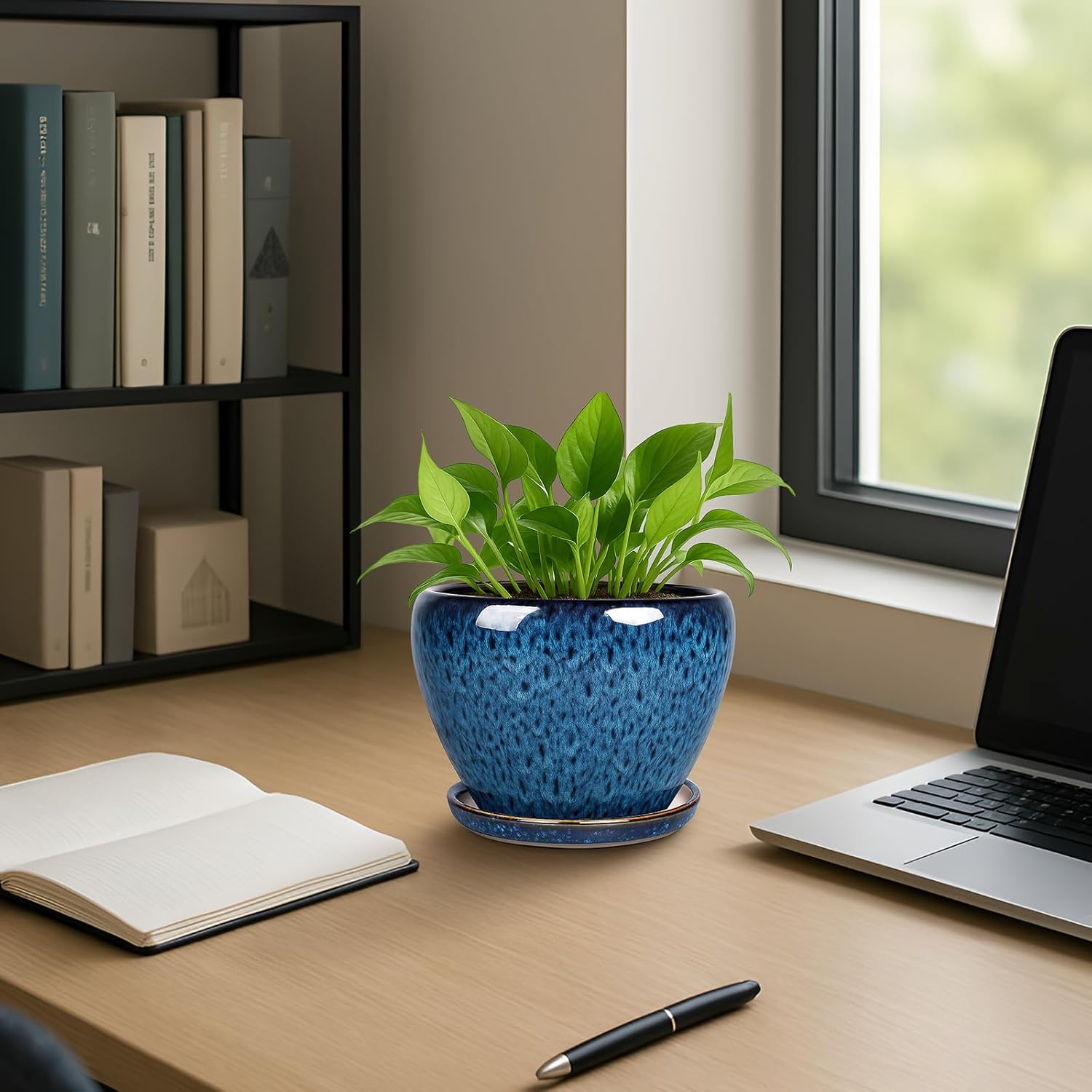 6 Inch Ceramic Plant Pot with  - Snake Plant Ceramic incelemesi ve fiyatı