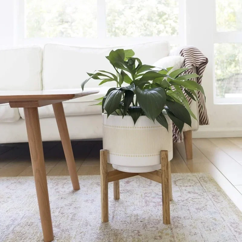 Large Ceramic Plant Pot with S - Snake Plant Ceramic incelemesi ve fiyatı
