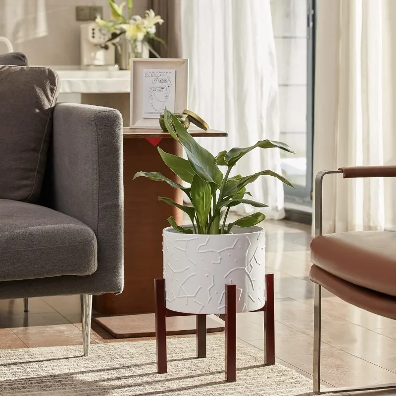 Large Ceramic Plant Pot with S - Snake Plant Ceramic incelemesi ve fiyatı