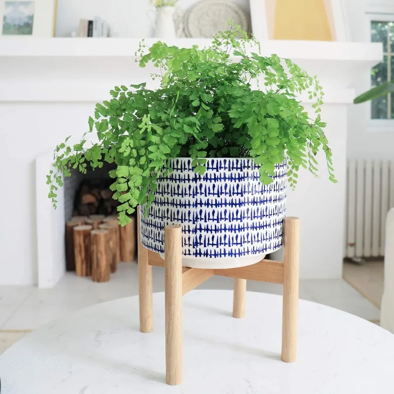 Large Ceramic Plant Pot with S - Snake Plant Ceramic incelemesi ve fiyatı