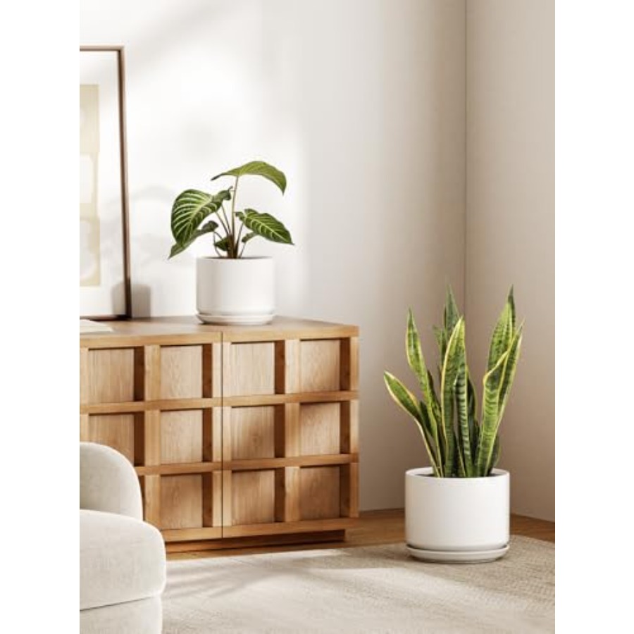 Ceramic Plant Pots Set of 2 8+ - Snake Plant Ceramic incelemesi ve fiyatı