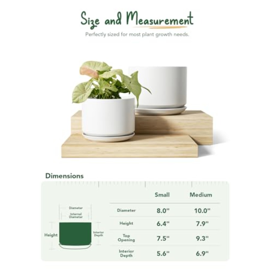 Ceramic Plant Pots Set of 2 8+ - Snake Plant Ceramic incelemesi ve fiyatı