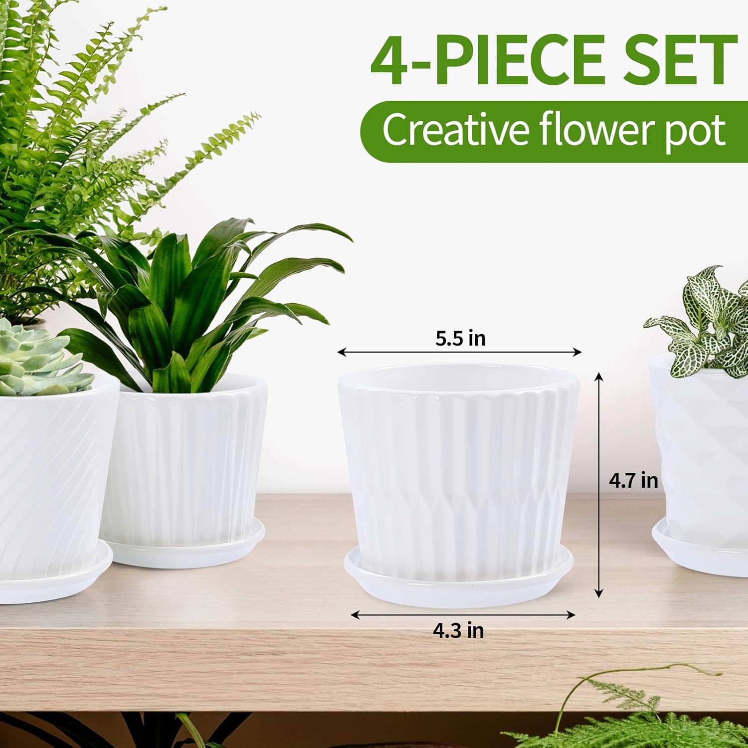 Plant Pots - 5.5 Inch Cylinder - Snake Plant Ceramic incelemesi ve fiyatı