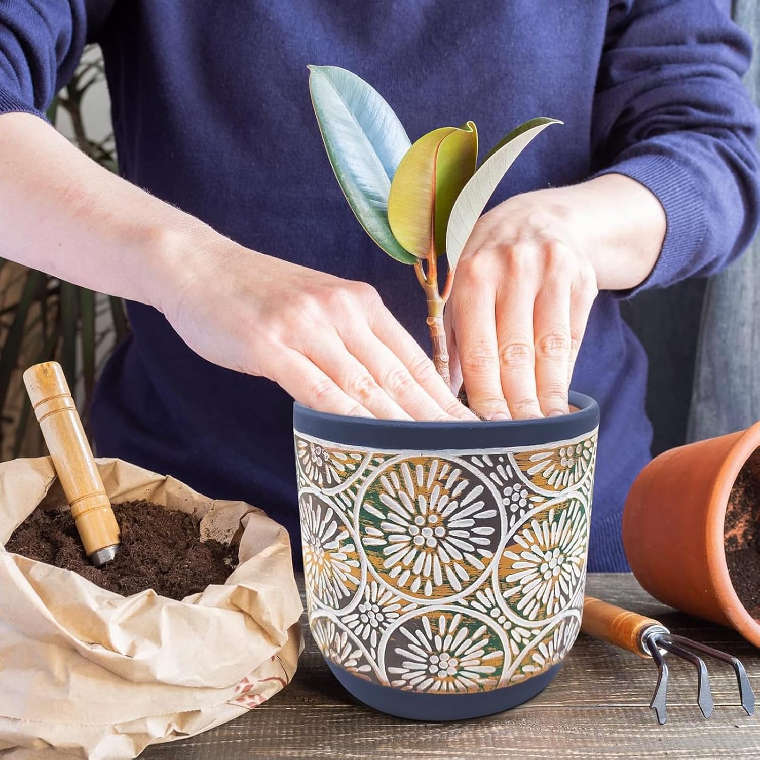 DeeCoo 3 Piece Ceramic Plant p - Snake Plant Ceramic incelemesi ve fiyatı