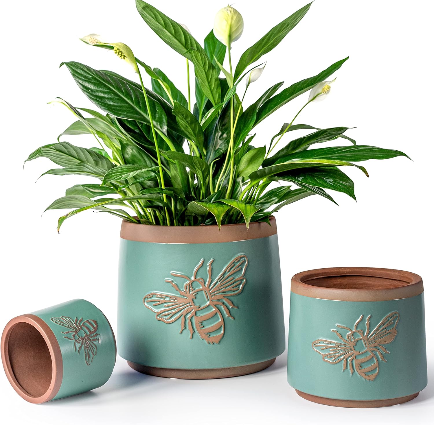 Terracotta Pots with Drainage  - Snake Plant Ceramic incelemesi ve fiyatı