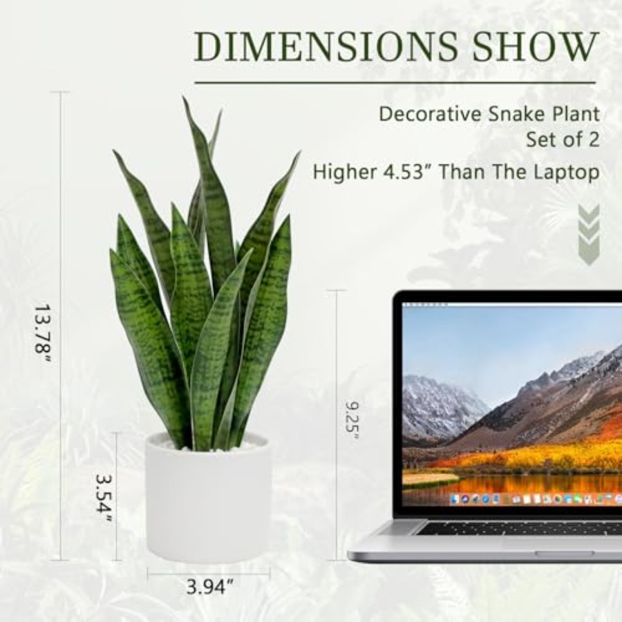 Artificial Snake Plant Set of  - Snake Plant Ceramic incelemesi ve fiyatı