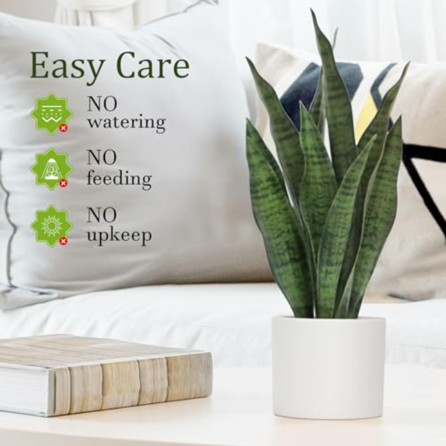 Artificial Snake Plant Set of  - Snake Plant Ceramic incelemesi ve fiyatı