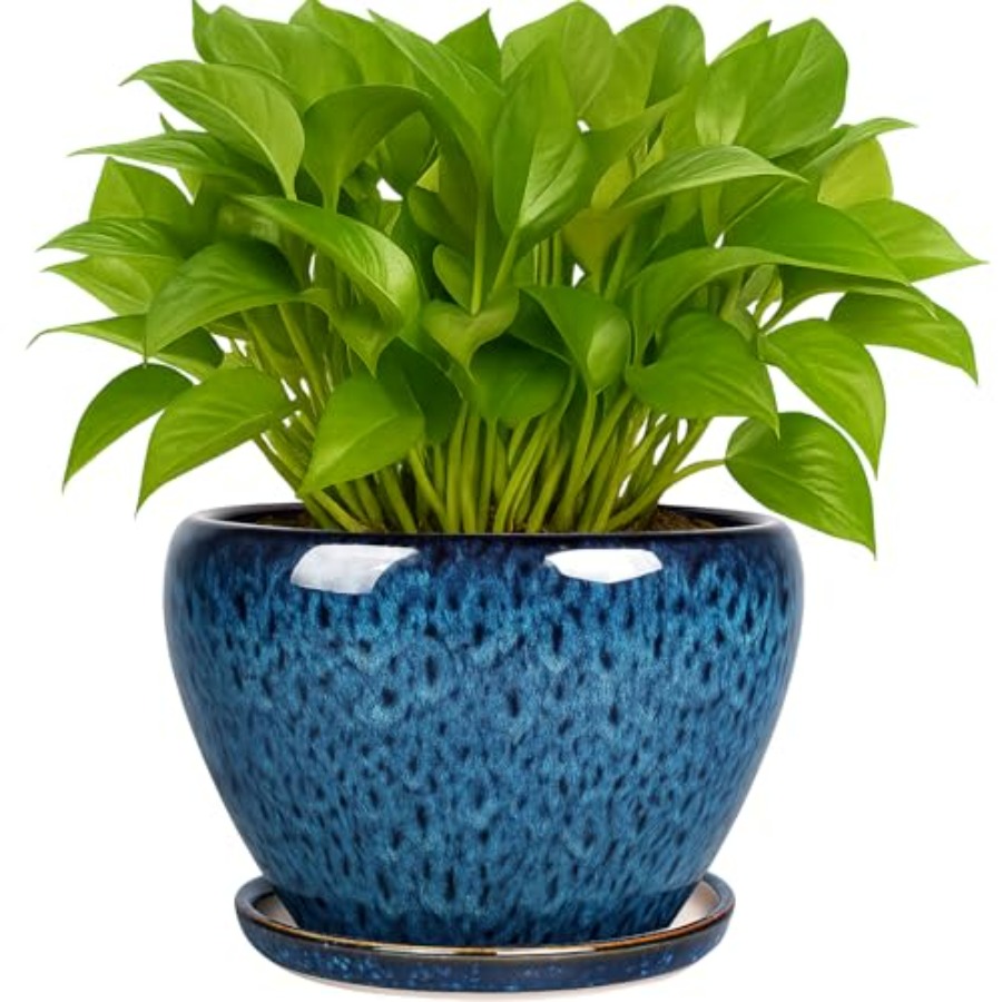 Plant Pots- Ceramic Planter Po - Snake Plant Ceramic incelemesi ve fiyatı