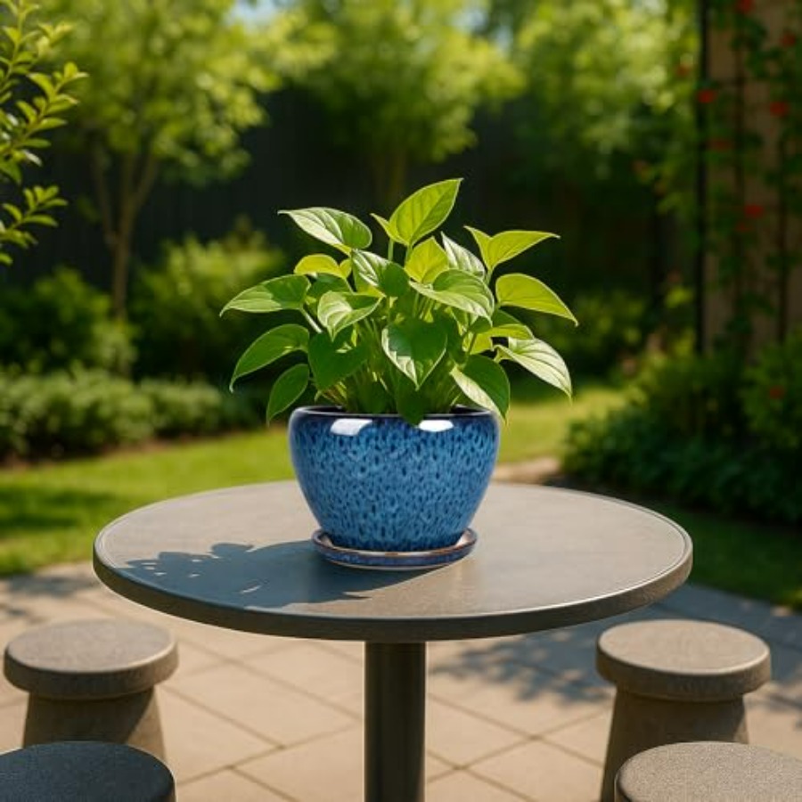 Plant Pots- Ceramic Planter Po - Snake Plant Ceramic incelemesi ve fiyatı