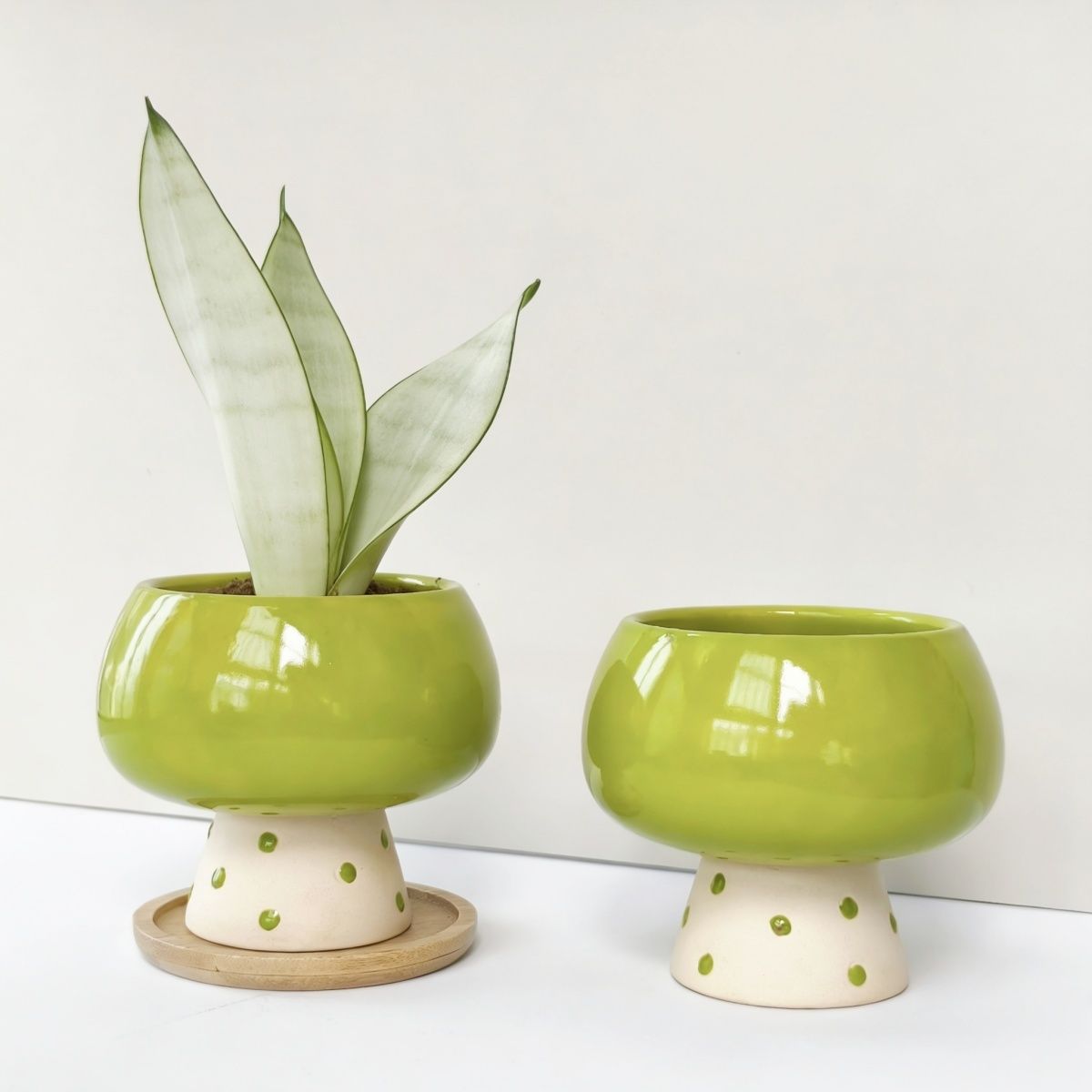 small vase table decor Highly  - Snake Plant Ceramic incelemesi ve fiyatı