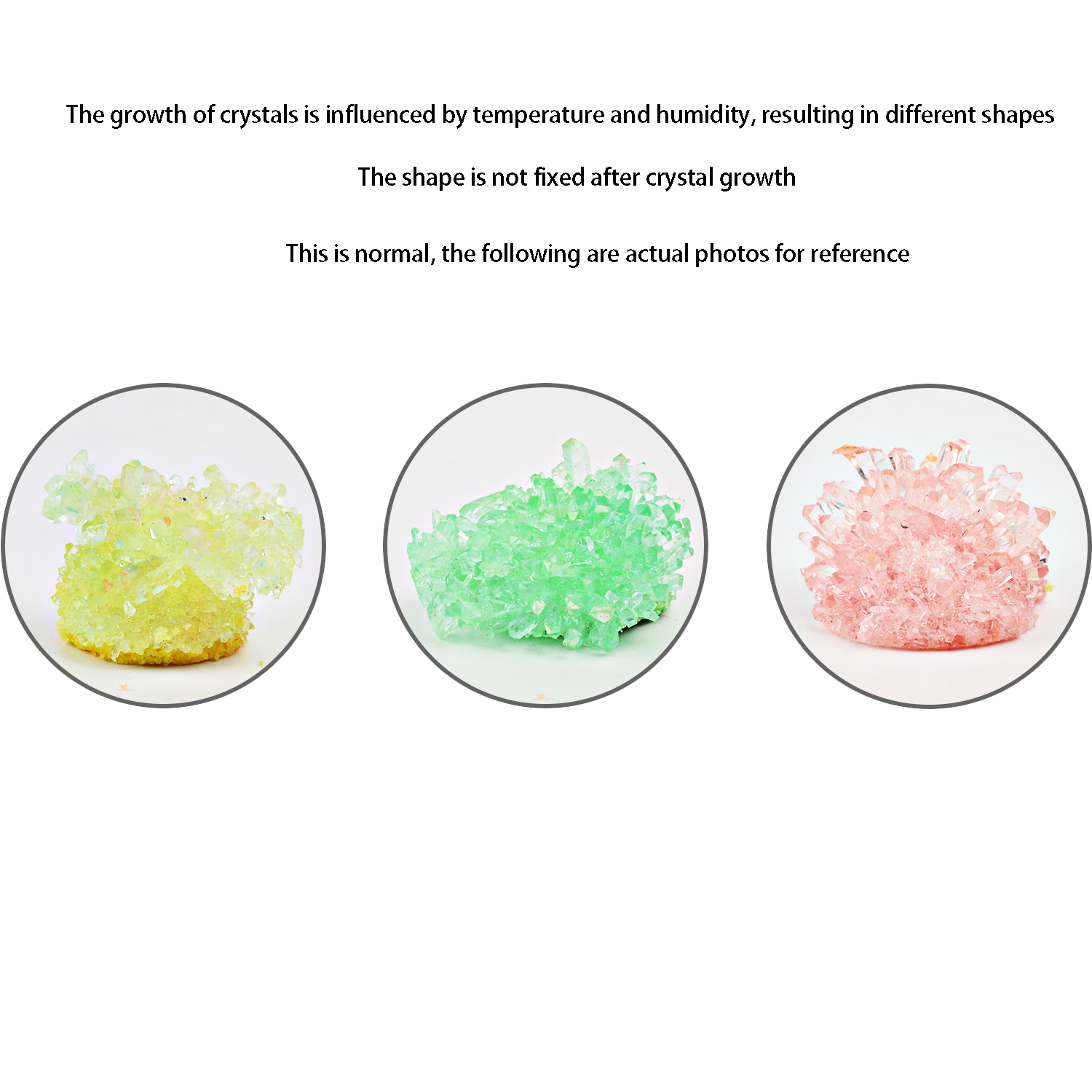 Crystal planting DIY scientifi - Plant Parent Free incelemesi ve fiyatı