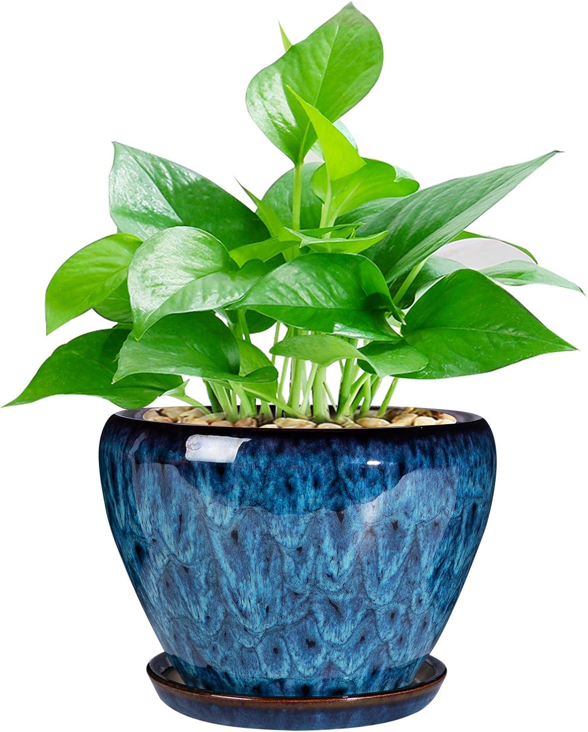 Ceramic Succulent Planter Pot  - Snake Plant Ceramic incelemesi ve fiyatı