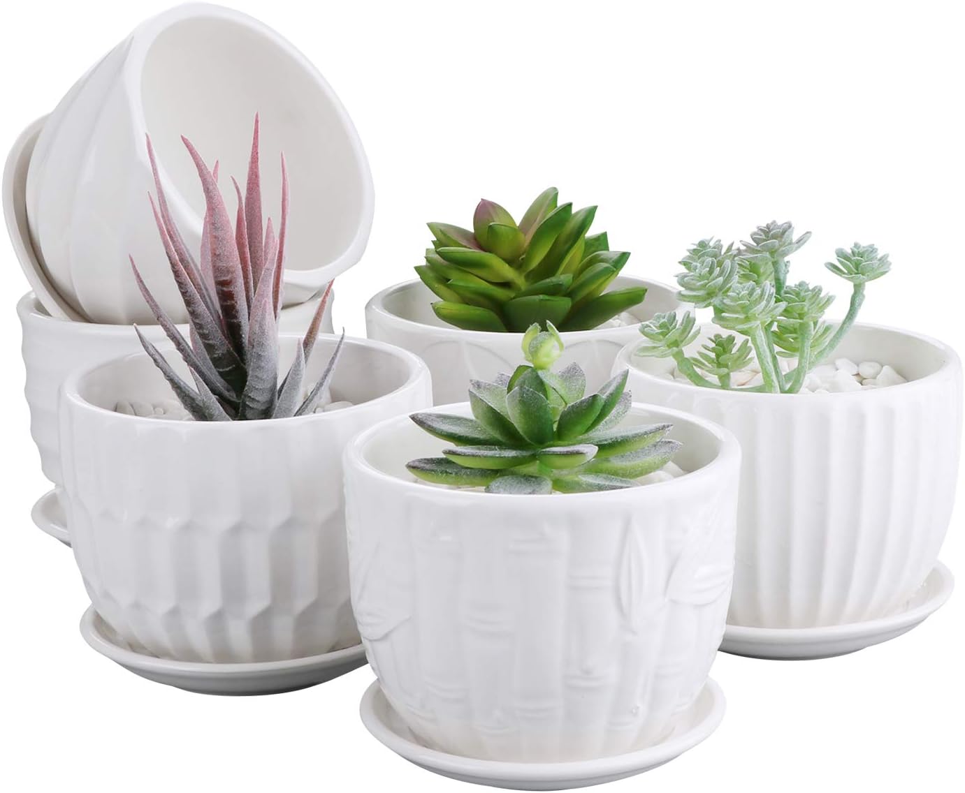 Flower Pots, 4 Inch Cylinder C - Snake Plant Ceramic incelemesi ve fiyatı