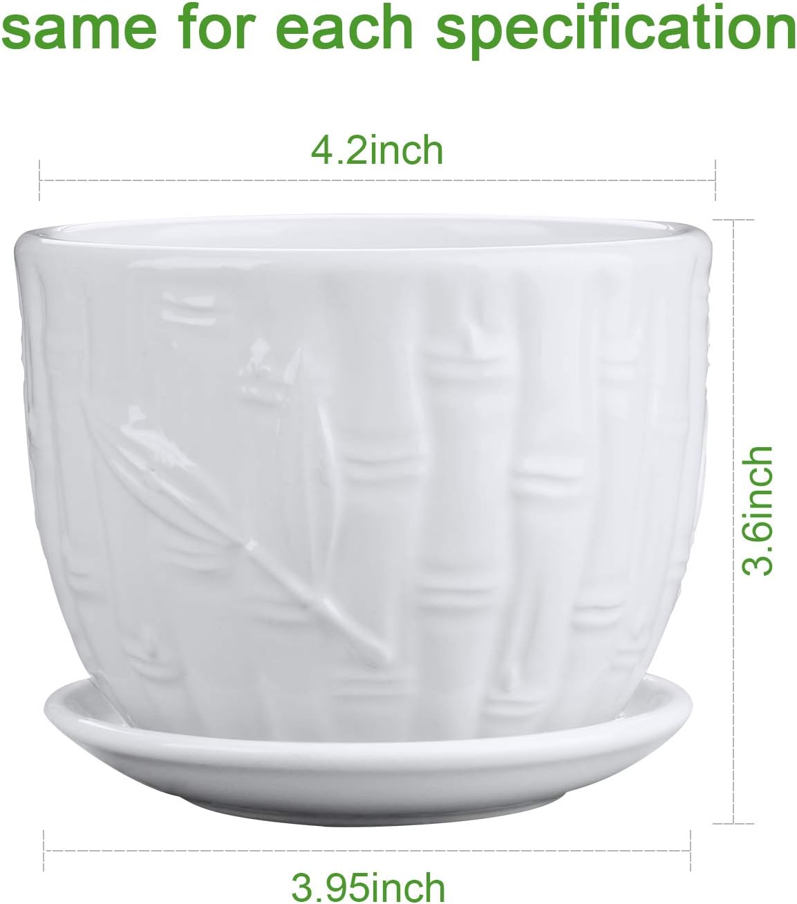 Flower Pots, 4 Inch Cylinder C - Snake Plant Ceramic incelemesi ve fiyatı