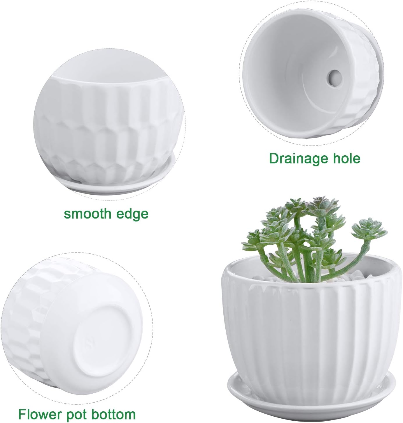 Flower Pots, 4 Inch Cylinder C - Snake Plant Ceramic incelemesi ve fiyatı