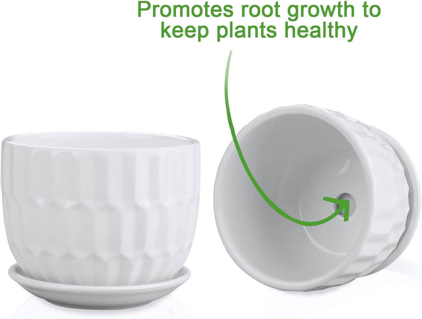 Flower Pots, 4 Inch Cylinder C - Snake Plant Ceramic incelemesi ve fiyatı